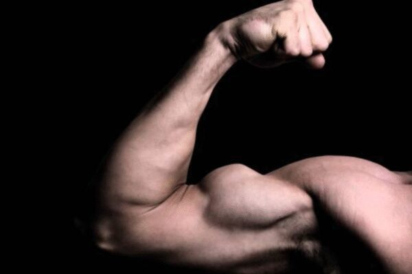 When is the best time to take creatine? – Times of India