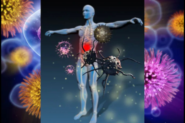 Why Doesn’t The Immune System Attack Food? Israeli Scientists Have Found The Answer News18