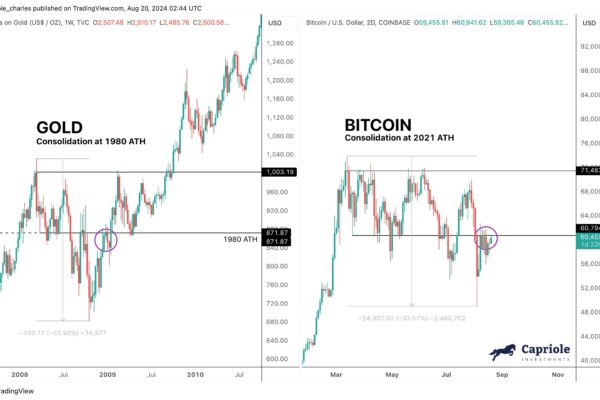 Bitcoin Vs Gold