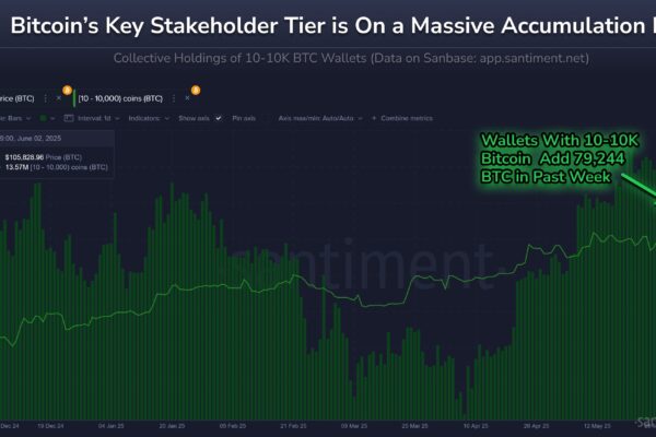 Bitcoin Key Investors