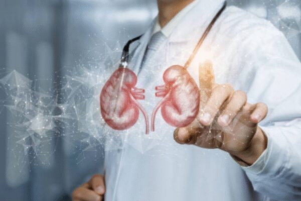 Can creatine damage your kidneys? Myths, facts, and what you need to watch out for | – Times of India