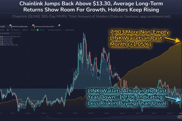 Chainlink Total Amount of Holders