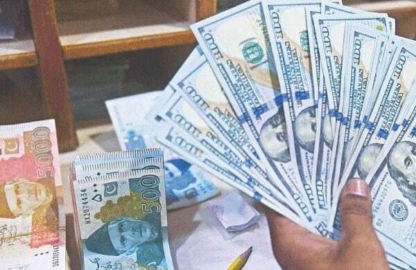 Economic Survey FY25: Experts warn against policy shocks amid ‘fragile recovery’