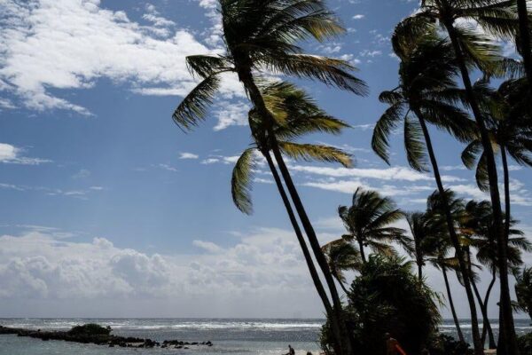 French scientists discover new blood type in Guadeloupe woman