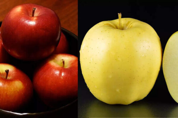 From Fuji to Honeycrisp: Here is how different types of apples got their names | – Times of India