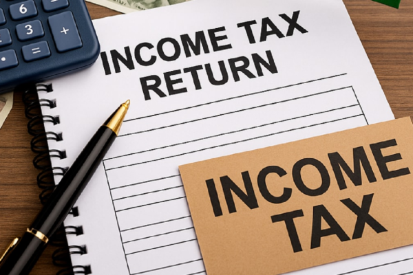 ITR E-Filing FY2024-25: ITR-1 And ITR-4 Enabled For Online Filing; Check Who Can File? News18