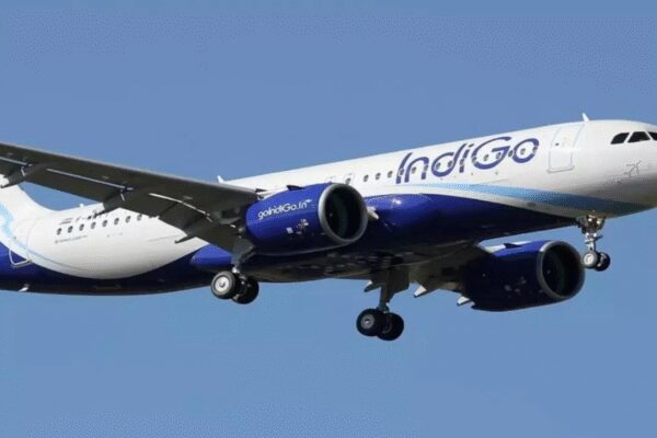 IndiGo doubles wide-body aircraft order – Times of India