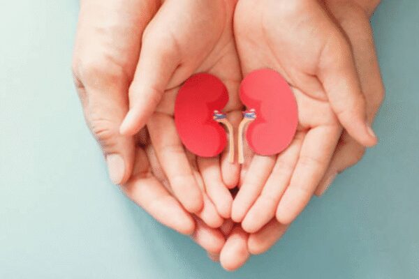 Kidney Health: Can gaining even 3-4 kgs of weight increase our risk of kidney disease? How to prevent it | – Times of India