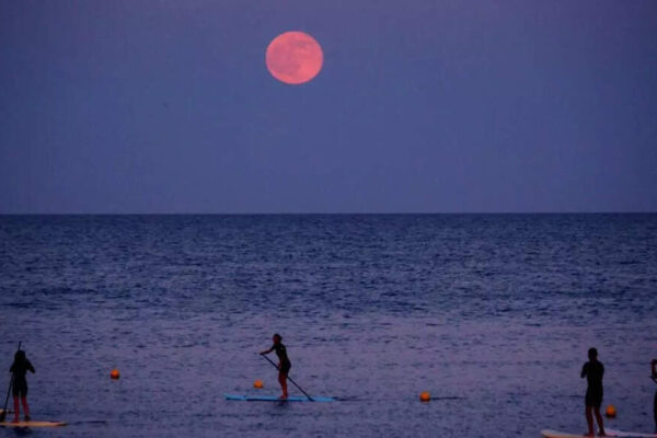 Strawberry Moon 2025: June’s full moon to light up the sky this month- know date, time, and the science behind the name | – The Times of India