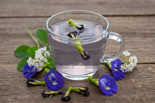 Why Starting Your Day With Blue Tea Might Be A Game-Changer For Your Health News18