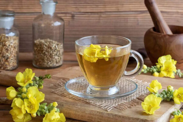 10 benefits of mullein tea: A natural remedy for cough, cold, and asthma | – Times of India