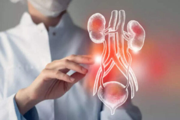 3 foods that can improve kidney function | – Times of India