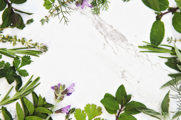 6 powerful herbs that can clear brain fog and boost mental clarity