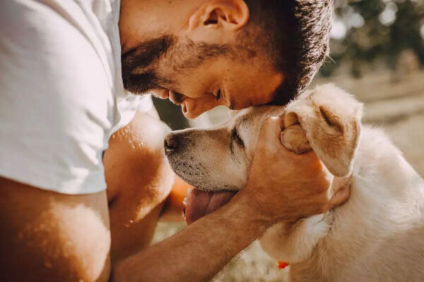 8 signs something is wrong with your dog’s health that you shouldn’t ignore | – Times of India