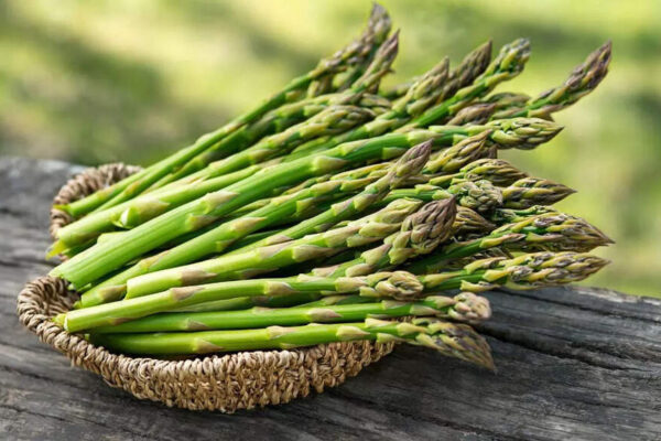 9 health benefits of asparagus you should know | – Times of India