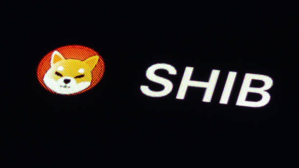Shiba Inu