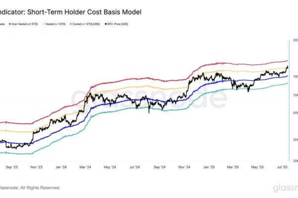 Bitcoin STH Realized Price