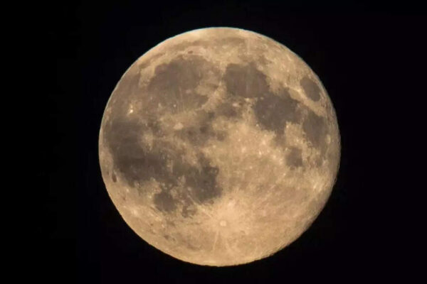 Buck Moon 2025: When and where to watch July’s Full Moon of the summer with top viewing tips | – The Times of India
