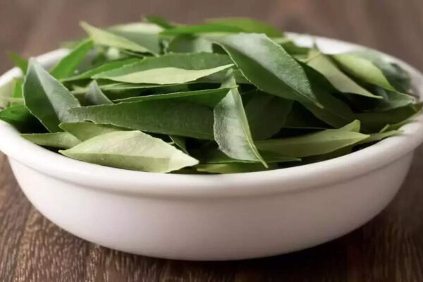 Curry Leaves: 10 powerful health benefits, medicinal uses and how to consume them | – Times of India