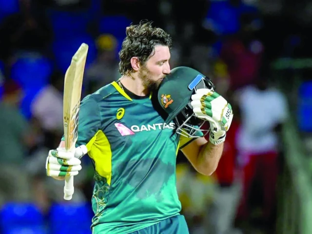 australian tim david hit a century on just 37 balls to power the aussies over the west indies by six wickets in a series clinching victory photo afp