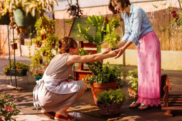 How to properly water and care for your plants before leaving for a vacation | – Times of India