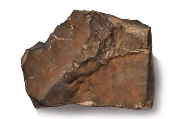 Largest Mars rock could sell for a staggering $4 million | – The Times of India