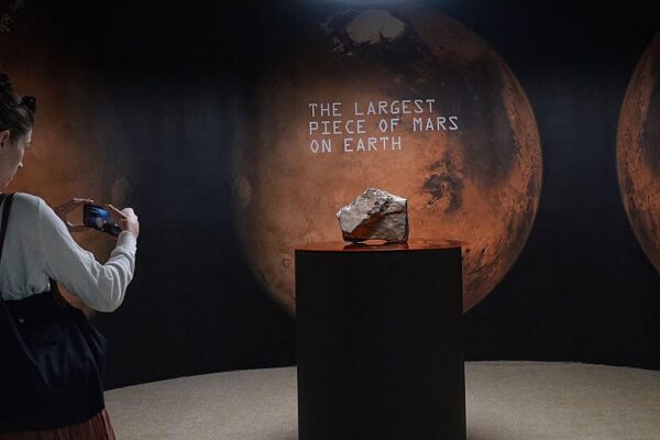 Largest piece of Mars on Earth sells for nearly $5.3 million at auction