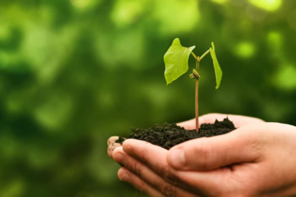 Nature Conservation Day 2025: A New Era of Responsible Travel News18