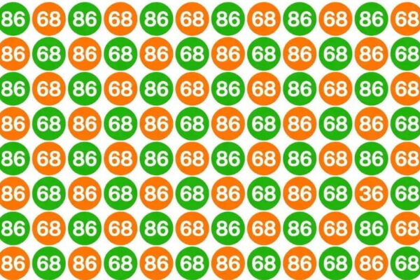 Optical Illusion: Think You’ve Got Sharp Eyes? Spot the lone “36” in this picture in 20 seconds! | – Times of India