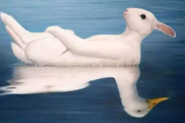 Optical illusion personality test: Duck or rabbit? What you see first reveals if you’re more charming or intellectual – Times of India