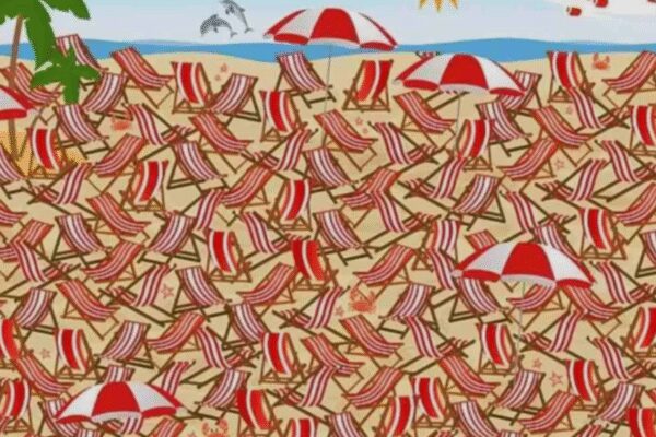 Optical illusion test: Only people with “4k visual power” can spot the skis in 5 seconds! | – Times of India
