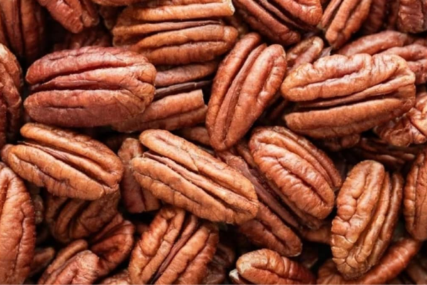 Pecans And Diabetes: How This Nut Helps Manage Blood Sugar Levels Naturally News18