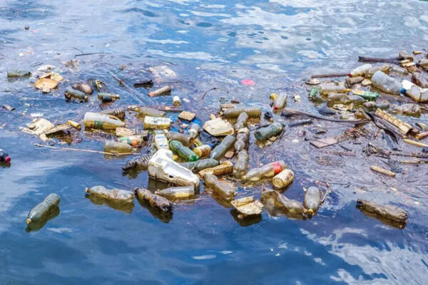 Plastic-eating fungi could help clean up oceans, say scientists | – The Times of India