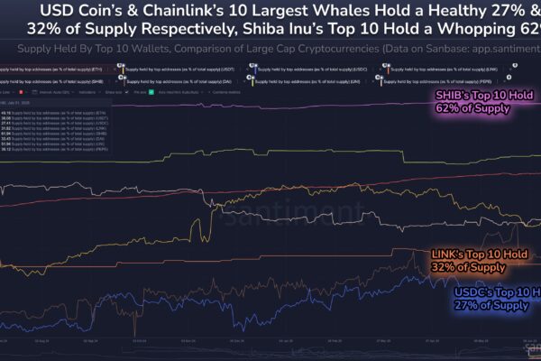 Shiba Inu Supply Most Centralized Among Top Coins—62% Held By Just 10 Whales Shiba Inu Supply