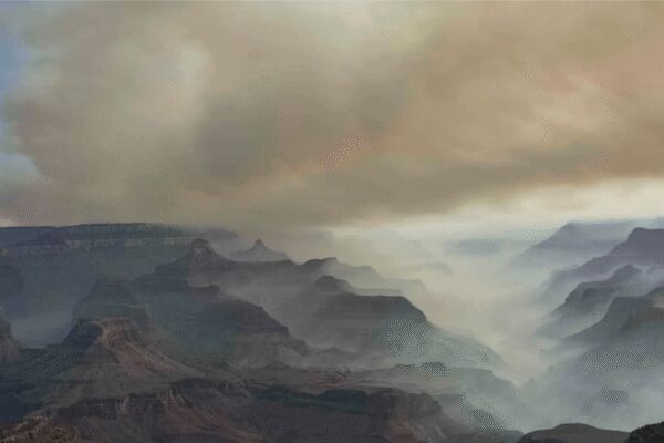 Spreading Grand Canyon fire destroys historic lodge – Times of India