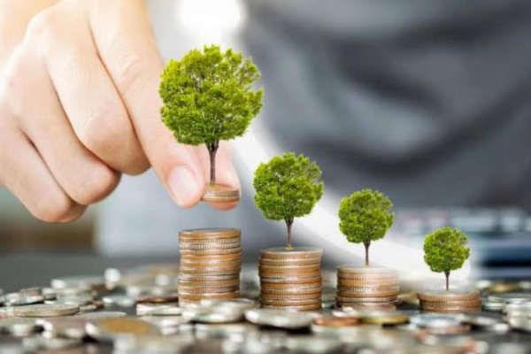 Start Early, Retire Rich: How Gen Z Can Build Rs 4 Crore Corpus With Rs 24,000 Monthly SIP News18
