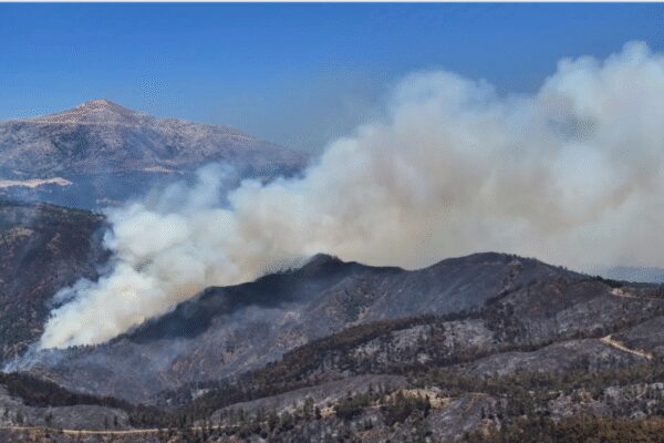 Syria says wildfires contained after 10 days – The Times of India