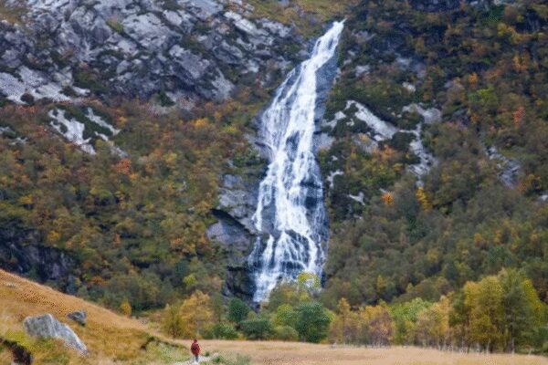 This viral optical illusion reveals whether one is open-hearted or guarded—Let’s test it ! – Times of India