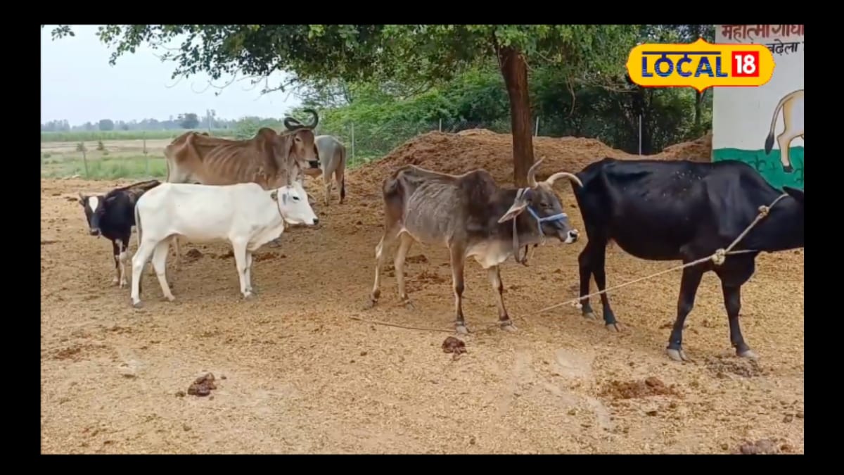 News18