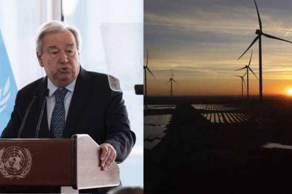 UN says booming solar, wind and other green energy hits global tipping point for ever lower costs | – The Times of India