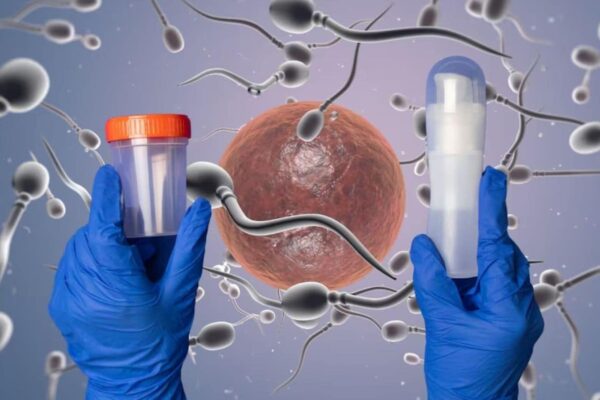 World IVF Day: A Step-by-Step Guide To In Vitro Fertilization (IVF) News18