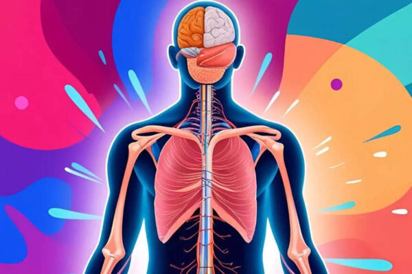 20 or 80, THIS organ of the body is (mostly) immune to ageing! | – Times of India