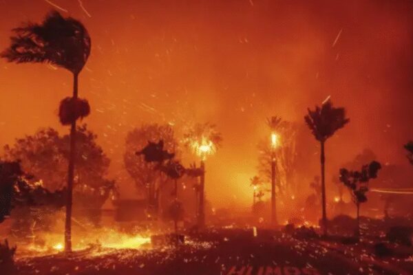 Fire in southern France burns 11,000 hectares, injures nine – Times of India