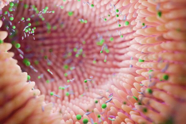 Leaky Gut: 5 early warning signs of leaky gut syndrome that one should not ignore | – Times of India