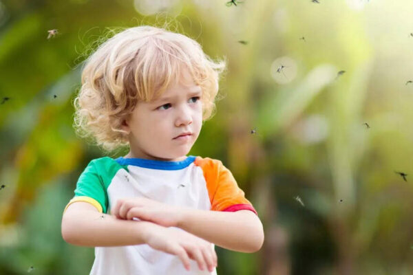 Mosquito bites: 9 effective tips to save yourself from mosquitoes | – Times of India