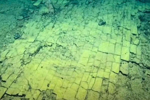 Scientists find ‘yellow brick road’ deep beneath the Pacific Ocean: The surprising truth about its construction | – The Times of India