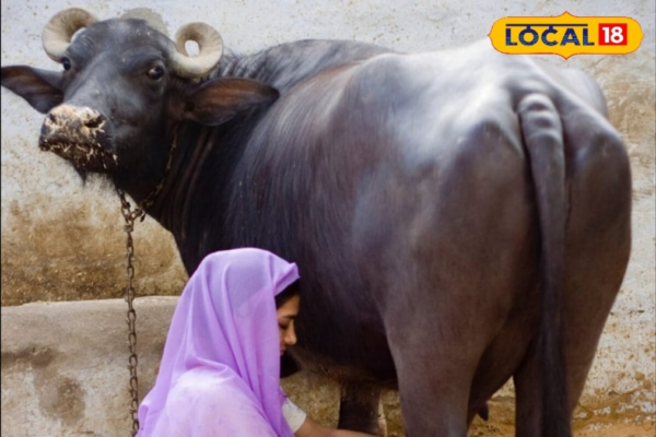 News18