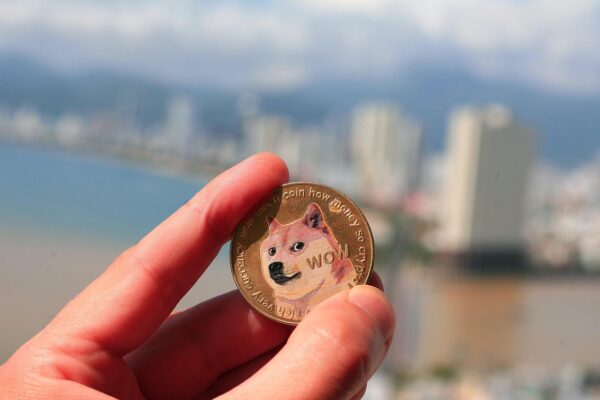 Dogecoin Hits Multi-Month High, Veteran Trader Says It’s A Critical Progress