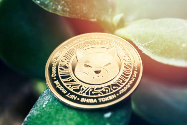 Shiba Inu Price In Trouble? SHIB Team Goes After Attackers After Major Bridge Compromise Shiba Inu