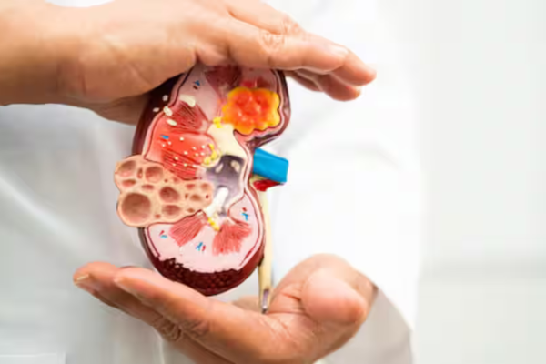 Are your kidneys ageing faster than you? Everyday habits that may be causing silent, irreversible damage